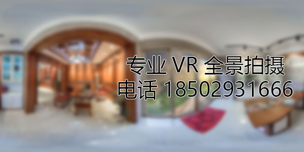 双清VR全景技术在未来可能的发展方向和应用领域?